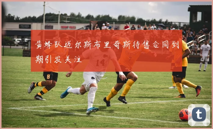 黄蜂队迈尔斯布里奇斯待售合同到期引发关注